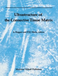 Cover Ultrastructure of the Connective Tissue Matrix