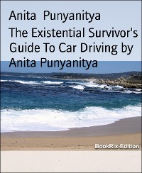 Cover The Existential Survivor's Guide To Car Driving by Anita Punyanitya