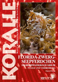 Cover Florida-Zwergseepferdchen im Meerwasseraquarium