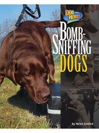 Cover Bomb-Sniffing Dogs