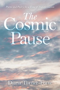 Cover The Cosmic Pause