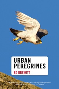 Cover Urban Peregrines