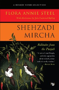 Cover Shehzadi Mircha