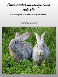 Cover Como cuidar un conejo como mascota