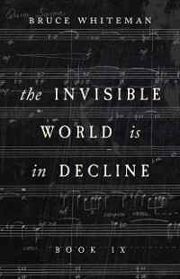 Cover Invisible World Is in Decline Book IX