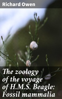 Cover The zoology of the voyage of H.M.S. Beagle: Fossil mammalia