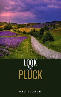 Cover Luck and Pluck or John Oakley's Inheritance