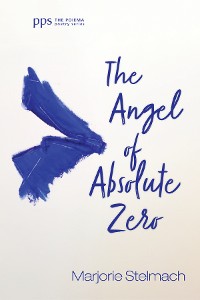 Cover The Angel of Absolute Zero