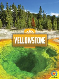 Cover Yellowstone