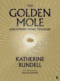 Cover The Golden Mole
