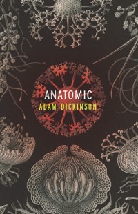 Cover Anatomic