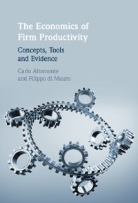 Cover Economics of Firm Productivity