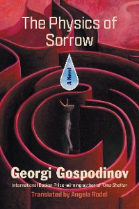 Cover The Physics of Sorrow: A Novel