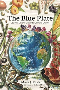 Cover Blue Plate