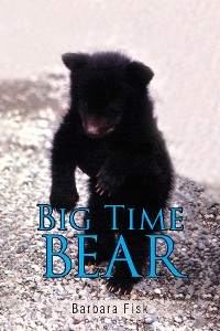 Cover Big Time Bear