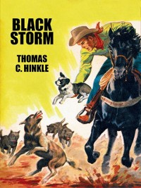 Cover Black Storm