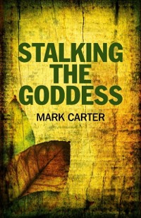 Cover Stalking the Goddess