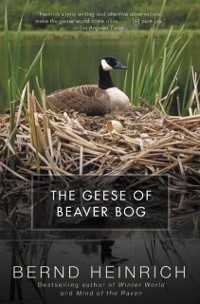 Cover Geese of Beaver Bog