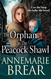 Cover The Orphan in the Peacock Shawl