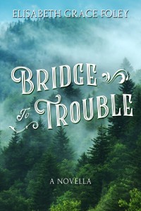 Cover Bridge to Trouble: A Novella