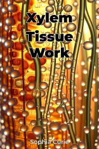 Cover Xylem Tissue Work