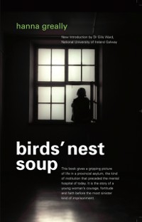 Cover Bird's Nest Soup: Locked-up  in an Irish Psychiatric Hospital