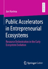 Cover Public Accelerators in Entrepreneurial Ecosystems