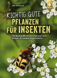 Cover Richtig gute Pflanzen für Insekten