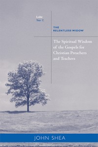 Cover The Spiritual Wisdom Of Gospels For Christian Preachers And Teachers