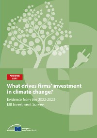 Cover What drives firms' investment in climate action?