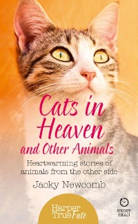 Cover Cats in Heaven