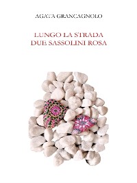 Cover Lungo la strada due sassolini rosa