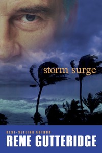 Cover Storm Surge