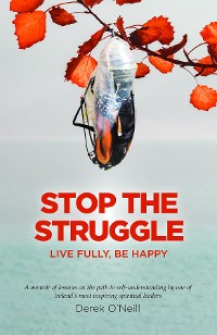 Cover Stop The Struggle