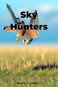 Cover Sky Hunters