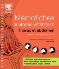 Cover Mémofiches anatomie vétérinaire - Thorax et abdomen