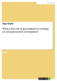 Cover What is the role of government in creating an
entrepreneurial environment?