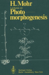 Cover Lectures on Photomorphogenesis