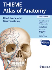 Cover Head, Neck, and Neuroanatomy (THIEME Atlas of Anatomy)