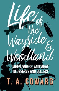 Cover Life of the Wayside and Woodland