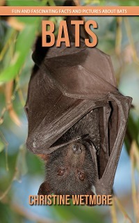 Cover Bats - Fun and Fascinating Facts and Pictures About Bats