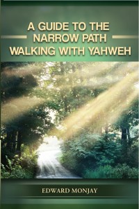 Cover A Guide to Narrow Path (Volume I)