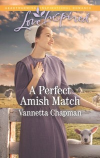 Cover Perfect Amish Match