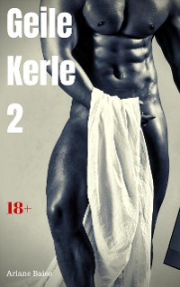Cover Geile Kerle 2