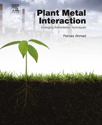 Cover Plant Metal Interaction