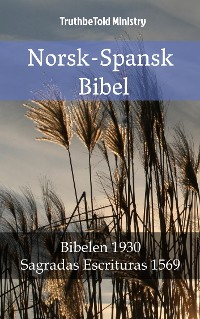 Cover Norsk-Spansk Bibel