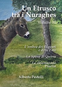 Cover Un Etrusco tra i Nuraghes - Volume III