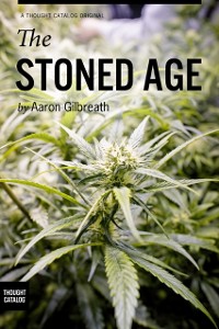Cover Stoned Age