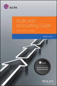Cover Auditing and Accounting Guide