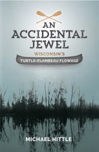 Cover Accidental Jewel